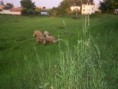 /album/beeeee/snimek-064-jpg/